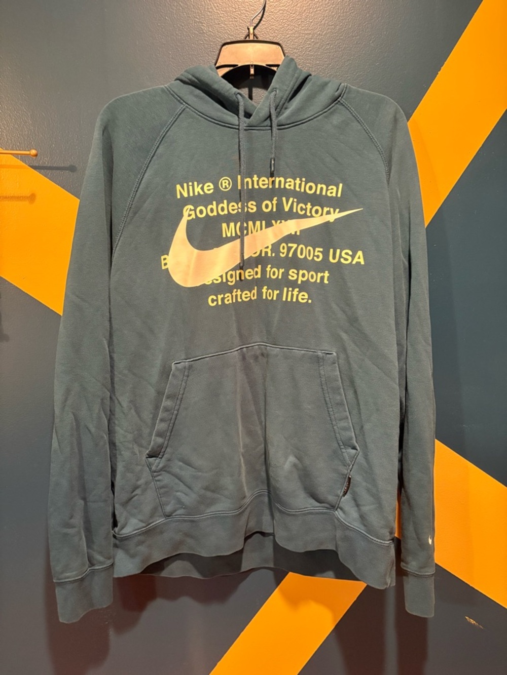 Nike Teal Graphic Hooded Sweatshirt NWOT